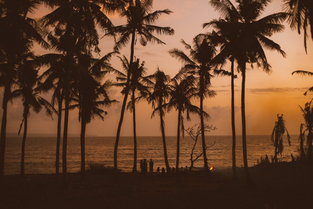 Palms And Tiny People Against Orange Evening Sky And Sea 4553024