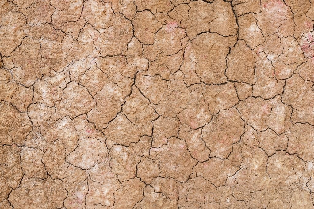 Soil Degradation And Modern Lifestyles