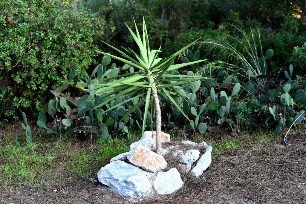 Ten Easy Ways To Live A Green Lifestyle, Part 2