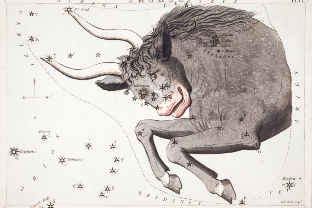 Taurus Compatible Indications Best Match For Taurus Woman
