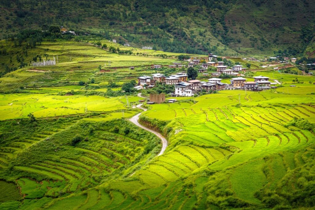 Road To Bhutan