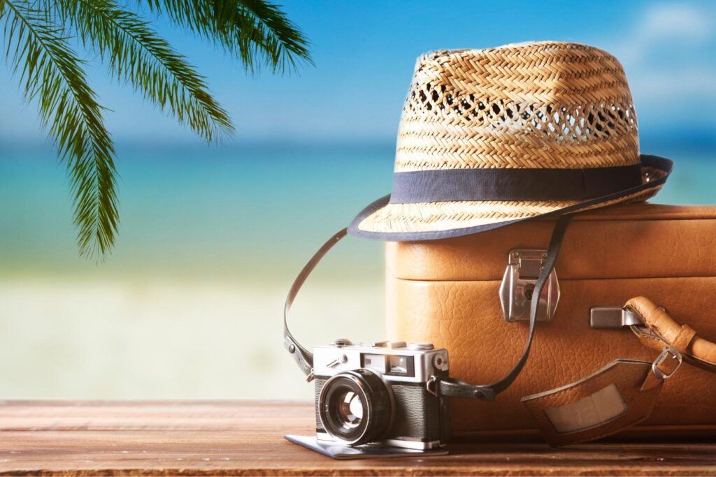 Travel Case For Camera